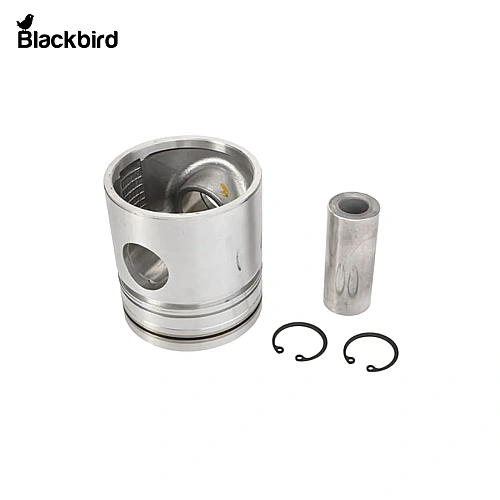 Piston Assembly 3905406M91
