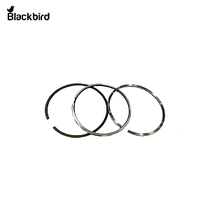 Piston Ring 8094845