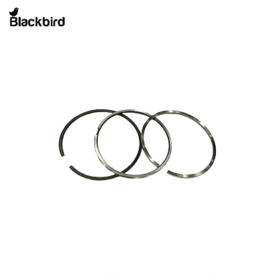 Piston Ring 8094845