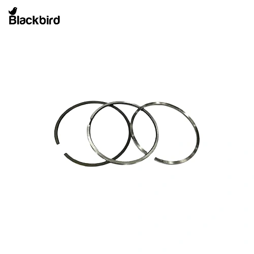 Piston Ring 8094845