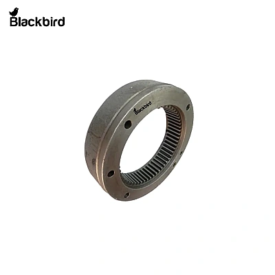 Planetary Ring 180405M1