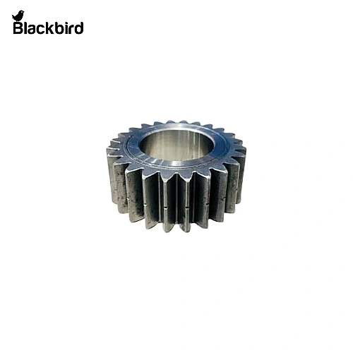 Planet Gear 300384892B