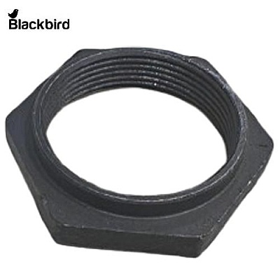 Ring Checknut 0.008.5134.0/30