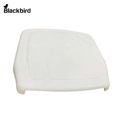 Roof 48156329