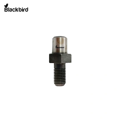 Screw 5125646