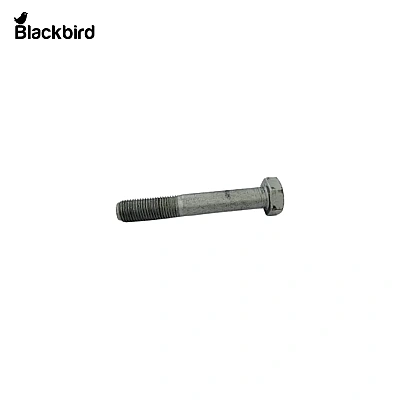 Screw 14255734