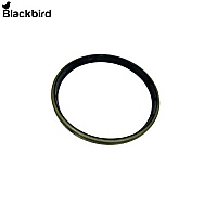 Seal Ring 462034