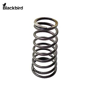 Spring 5135901