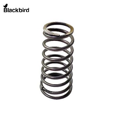 Spring 5135901