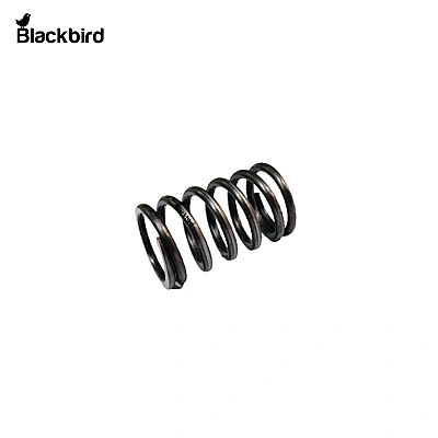 Spring 559699