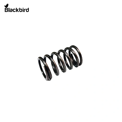 Spring 559699
