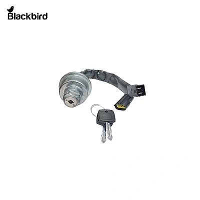 Switch Key RE234722