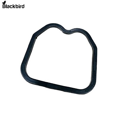 Tapped Gasket  703405106A