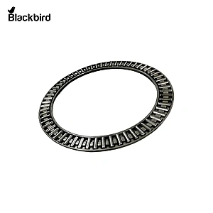 Thrust Bearing 5134174