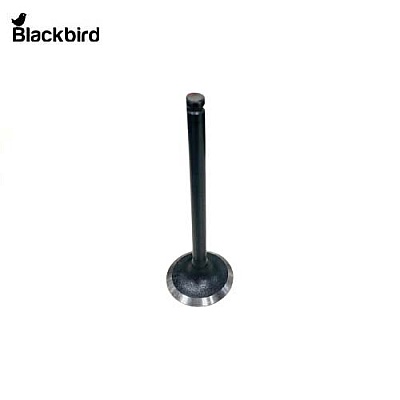 Valve Inlet 82825803