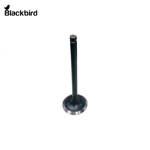 Valve Inlet 82825803