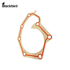 Water Pump Gasket R97455, T20271