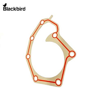 Water Pump Gasket R97455, T20271