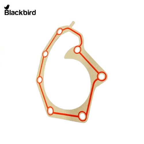 Water Pump Gasket R97455, T20271
